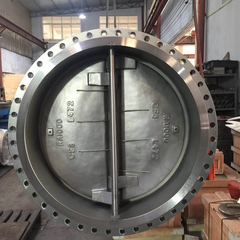 DUAL PLATE CHECK VALVE 12